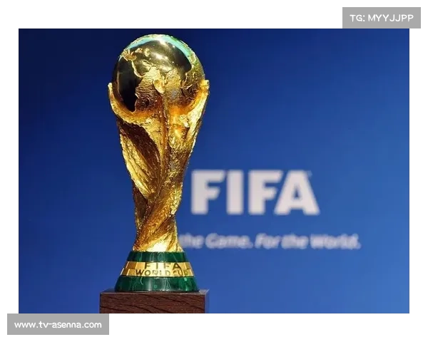 世界杯三国主办筹备进展顺利 场馆建设按计划推进